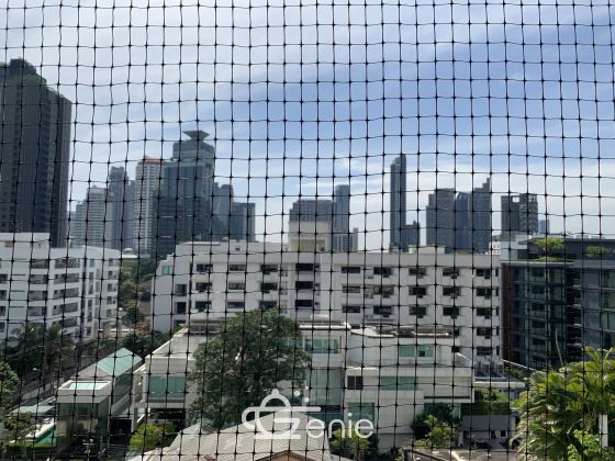 ปล่อยเช่า! The Waterford Park Sukhumvit 53 เพียง 75,000บาท/เดือน 3 ห้องนอน 4 ห้องน้ำ 220 ตรม. ใกล้ BTS ทองหล่อ เฟอร์นิเจอร์ครบพร้อมเข้าอยู่ รหัส 2785