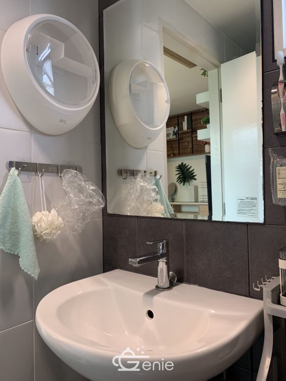 ** Hot Deal! ** ปล่อยเช่า My Condo Sukhumvit 81 (มายคอนโด สุขุมวิท 81) ขนาด 1 สตูดิโอ 1 ห้องน้ำ ขนาด 25 ตรม. ใกล้ BTS อ่อนนุช เฟอร์นิเจอร์ครบพร้อมเข้าอยู่ รหัส 2796