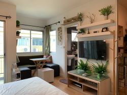 ** Hot Deal! ** ปล่อยเช่า My Condo Sukhumvit 81 (มายคอนโด สุขุมวิท 81) ขนาด 1 สตูดิโอ 1 ห้องน้ำ ขนาด 25 ตรม. ใกล้ BTS อ่อนนุช เฟอร์นิเจอร์ครบพร้อมเข้าอยู่ รหัส 2796