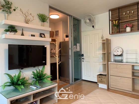 ** Hot Deal! ** ปล่อยเช่า My Condo Sukhumvit 81 (มายคอนโด สุขุมวิท 81) ขนาด 1 สตูดิโอ 1 ห้องน้ำ ขนาด 25 ตรม. ใกล้ BTS อ่อนนุช เฟอร์นิเจอร์ครบพร้อมเข้าอยู่ รหัส 2796