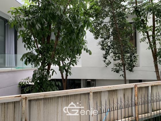 ให้เช่า! ! ! Prime Mansion Promsri ในราคาเพียง 50, 000บาท/เดือน 2 ห้องนอน 2 ห้องน้ำ 138 ตรม. ใกล้ BTS พร้อมพงษ์ เฟอร์นิเจอร์ครบพร้อมเข้าอยู่ รหัส 2804