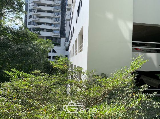 ปล่อยเช่า! Raintree Villa ในราคาเพียง 14,000บาท/เดือน Studio 1 ห้องน้ำ 30 ตรม. ใกล้ BTS ทองหล่อ เฟอร์นิเจอร์ครบพร้อมเข้าอยู่ รหัส 2809