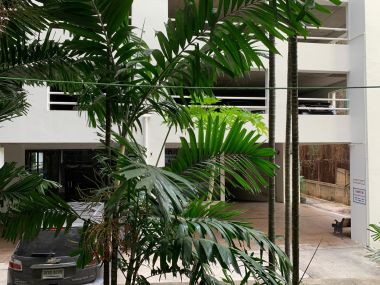 Rent out! Raintree Villa for only 20,000 baht/month, 1 bedroom, 1 bathroom, 66 sq m., near BTS Thonglor, fully furnished, ready to move in.