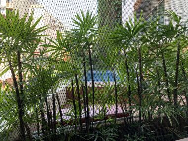 Rent/Sale! at 9,590,000 transfer 50/50 Residence 52 1 Bedroom 1 Bathroom 87 Sqm. 43,000THB/Month Fully furnished