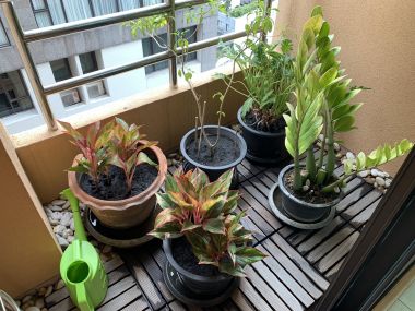 ปล่อยเช่า Baan Na Varang ในราคาเช่าเพียง 40,000บาท/เดือน 1 ห้องนอน 2 ห้องน้ำ 80 ตรม. ใกล้ BTS ชิดลม เฟอร์นิเจอร์ครบพร้อมเข้าอยู่