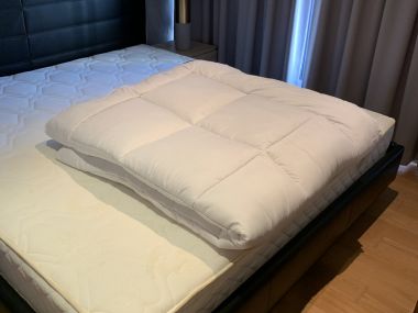 ปล่อยเช่า! The Lumpini 24 ในราคาเพียง 32,000บาท/เดือน 1 ห้องนอน 1 ห้องน้ำ 38ตรม. ใกล้ BTS พร้อมพงษ์ เฟอร์นิเจอร์ครบพร้อมเข้าอยู่