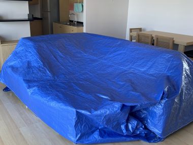 ปล่อยเช่า! The tree condo sukhumvit 52 ในราคาเพียง 30,00บาท/เดือน 2 ห้องนอน 2 ห้องน้ำ 84ตรม. ใกล้ BTS อ่อนนุช เฟอร์นิเจอร์ครบพร้อมเข้าอยู่ รหัส 2926