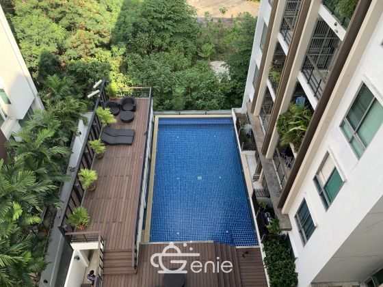 ปล่อยเช่า! The tree condo sukhumvit 52 ในราคาเพียง 30,00บาท/เดือน 2 ห้องนอน 2 ห้องน้ำ 84ตรม. ใกล้ BTS อ่อนนุช เฟอร์นิเจอร์ครบพร้อมเข้าอยู่ รหัส 2926