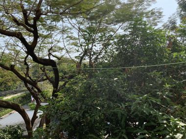 ปล่อยเช่า Vincente Sukhumvit 49 38,000  บาท   1 ห้องนอน 1 ห้องน้ำ ขนาด 65 ตร.ม. ใกล้ BTS ทองหล่อ รหัส  2947