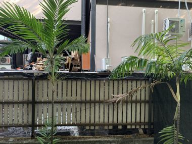 ปล่อยเช่า ! Raintree Villa  15,000  บาท/เดือน  Studio 1 ห้องน้ำ ขนาด 30 ตร.ม. ใกล้  BTS ทองหล่อ รหัส 2962