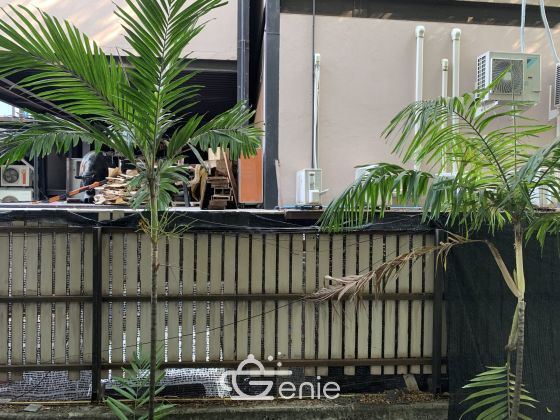 For Rent ! at Raintree Villa 15,000 THB /month Studio 1 Bathroom 30 Sqm. Code 2962