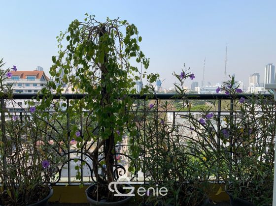 For Rent ! at Supreme garden 200,000 THB/Month Duplex 3 Bedroom 3 Bathroom 495.82 Sqm. Code 2995