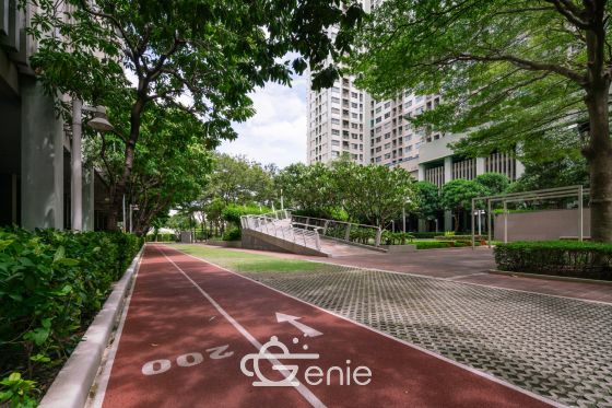 Lumpini Park Pinklao Newly decorated condo || Near 📷 MRT Bang Yi Khan || 400 meters Central Pinklao || Easy installments 7,xxx baht Ready to move in Beautiful and colorful room. Code 3235