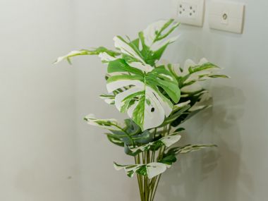 #รัชโยธิน ห้องใหญ่ 31 ตร.ม.|| 🛍️4 นาที #เมเจอร์รัชโยธิน || 🚝 2 นาที #BTS เสนานิคม || ผ่อนเพียง 8,xxxบาท รหัส