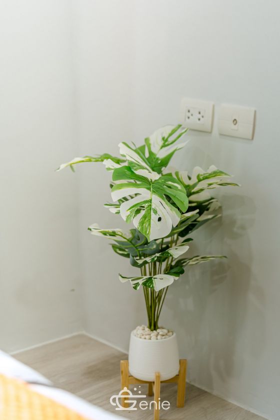 #Ratchayothin Large room 31 sq.m. || ๐๏ธ4 minutes to #MajorRatchayothin || ๐ 2 minutes to #BTSSenaNikom || Installments as low as 8,xxx baht. Code