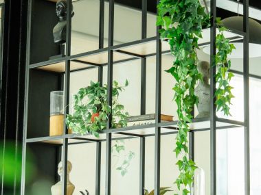 #รัชโยธิน ห้องใหญ่ 31 ตร.ม.|| 🛍️4 นาที #เมเจอร์รัชโยธิน || 🚝 2 นาที #BTS เสนานิคม || ผ่อนเพียง 8,xxxบาท รหัส