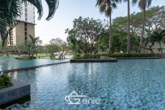 #Sukhumvit105 Large room, 36 sq.m. ✨ || 🚝 300 m walk to #MRT Srilasal || 200 m to Sikarin Hospital code