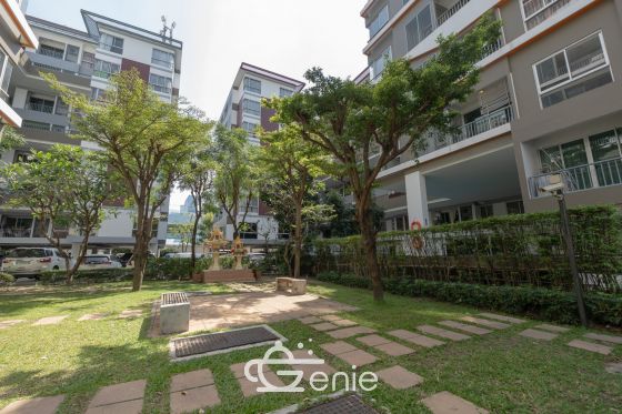 #สุขุมวิท64 ห้องใหญ่ 36  ตร.ม.✨ || 🚝 400 ม. เดินถึง #BTS  ปุณณวิถี || 4 นาที #ไบเทคบางนา || 💵 ผ่อนเพียง 7,xxx บาท ||รหัส