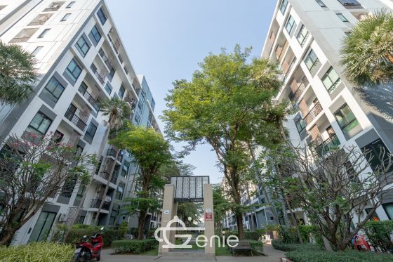 #สุขุมวิท105 #ลาซาล 2 นอน 2 น้ำ ขนาดใหญ่ 48 ตร.ม.✨ || 💵 ผ่อน 9,xxx บาท|| 🚝 5 นาที MRT ลาซาล || 8 นาที #BTS แบริ่ง ||รหัส3588