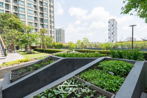 #รัชดา #ท่าพระ เดินทางสะดวกเป็น 2 เท่า || 4 นาที  BTS ตลาดพลู ||  🚈 2 นาที #BRT สถานีราชพฤกษ์ || 🛍️ 4 นาที #เดอะมอลล์ท่าพระ || 💵 ผ่อนเพียง 7,xxx บาท || เฟอร์ครบพร้อมเข้าอยู่ ||3607