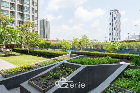 #รัชดา #ท่าพระ เดินทางสะดวกเป็น 2 เท่า || 4 นาที  BTS ตลาดพลู ||  🚈 2 นาที #BRT สถานีราชพฤกษ์ || 🛍️ 4 นาที #เดอะมอลล์ท่าพระ || 💵 ผ่อนเพียง 7,xxx บาท || เฟอร์ครบพร้อมเข้าอยู่ ||3607