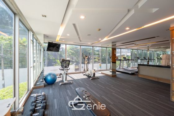 #ท่าพระ #เทอดไท33 || ✨ห้องใหญ่ 36 ตรม. || 🚝 ติด BTS #ตลาดพลู || 💵 ผ่อน 8,xxx เท่านั้น ||🚶‍♀️500 เมตรเดินถึง #เดอะมอลล์ท่าพระ || 10 นาที ไอคอนสยาม || 🛍️เฟอร์ครบพร้อมเข้าอยู่