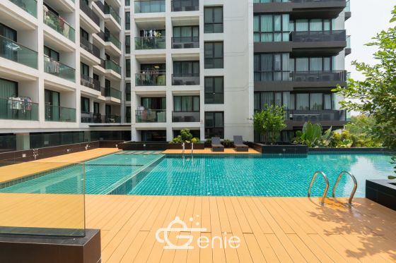 #พระราม 9 #รัชดา || ✨ห้องใหญ่ 32 ตร.ม.  || 🛍️ 5 นาที #เซ็นทรัลพระราม 9  || ใกล้บริษัทใหญ่ชั้นนำ || 💵 ผ่อนเพียง 9,xxx บาท || เฟอร์ครบ พร้อมเข้าอยู่