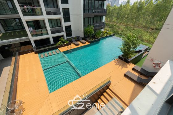 #พระราม 9 #รัชดา || ✨ห้องใหญ่ 32 ตร.ม.  || 🛍️ 5 นาที #เซ็นทรัลพระราม 9  || ใกล้บริษัทใหญ่ชั้นนำ || 💵 ผ่อนเพียง 9,xxx บาท || เฟอร์ครบ พร้อมเข้าอยู่