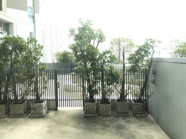 ให้เช่า! Belle Grand Rama9 2 ห้องนอน 141.52ตรม. (Duplex) ใกล้ MRTพระราม9 เพียง 65,000บาท/เดือน เฟอร์นิเจอร์ครบพร้อมเข้าอยู่ PROP000451