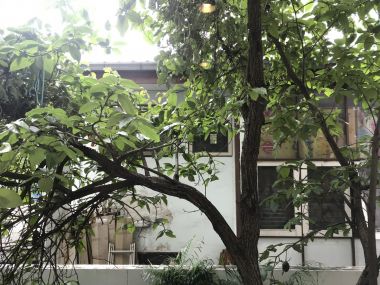 New Renovated For rent at Avenue Sukhumvit 61 2 Bedroom 2 Bathroom 55,000THB/month Fully furnished (can negotiate) PROP000620