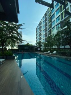 🔥New Arrival. Beautiful new condo for sale. Corner room. The Niche Mono Sukhumvit 50 1 bedroom 29.5 sq m. Sell for only 3.35 MB