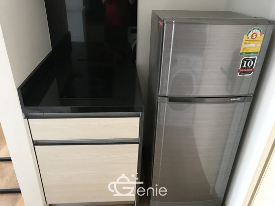 1 nice extra bed room for rent at park 24