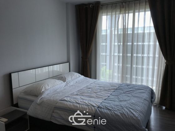 Condo For Rent : SARI BY SANSIRI Sukhumvit 64