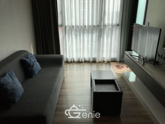 Rent, Wyne Sukhumvit 1 b, 12th floor Pool view, @16,000 baht/m