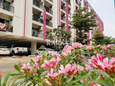 For sale The log 3 Hot price 1.35 MB (transfer fee 50/50) 28 sqm room Fl.4  K.Bee 064-146-6445 (R5663)