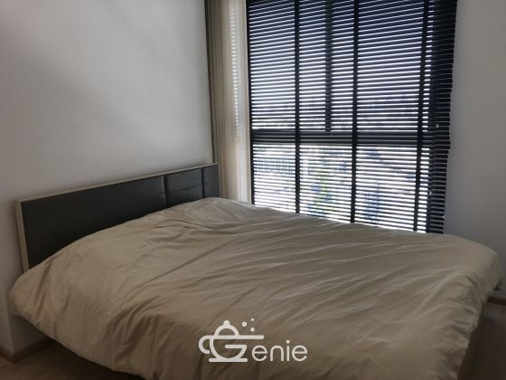 ปล่อยเช่า! IDEO O2 บางนา ในราคาเพียง 25,000บาท/เดือน 2 ห้องนอน 2 ห้องน้ำ 53ตรม. ใกล้ BTS บางนา เฟอร์นิเจอร์ครบพร้อมเข้าอยู่