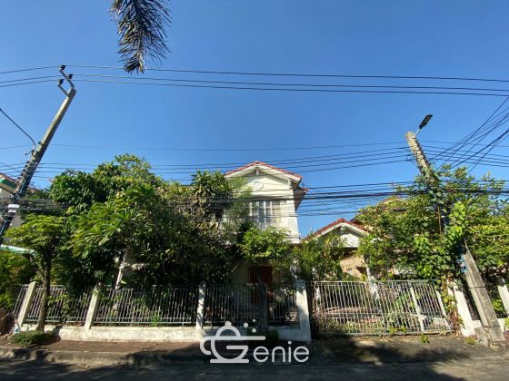 ขาย/เช่า บ้านเดี่ยว บ้านมัณฑนาศรีนครินทร์ ซอยศรีด่าน 62 ตรว 3 ห้องนอน 3 ห้องน้ำ ขาย 5.5 ลบ โอนคนละครึ่ง เช่า 35,000 ติดต่อบี 0641466445 (R5689)