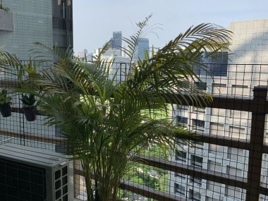 คอนโดหรู 4 ห้องนอน ใกล้ BTS ราชดำริ เดินเพียง 5 นาที ถึงสวนลุม